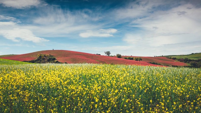 La Toscana è la Best Green Destination italiana