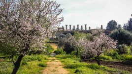 Il nuovo trekking tra templi, mandorleti, uliveti e aranceti