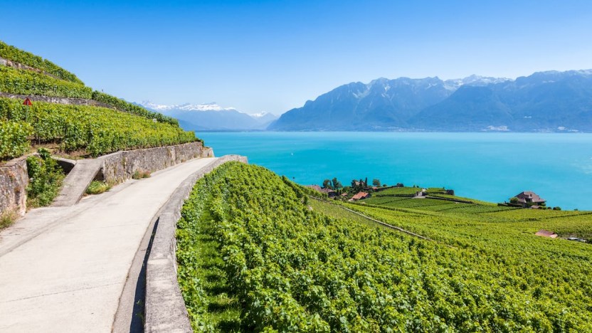 I vigneti terrazzati a due passi dall’Italia sono un sogno