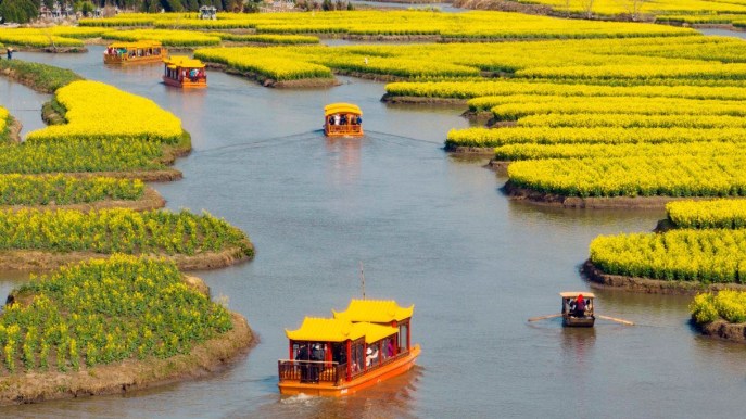 In questa città puoi attraversare un mare di fiori
