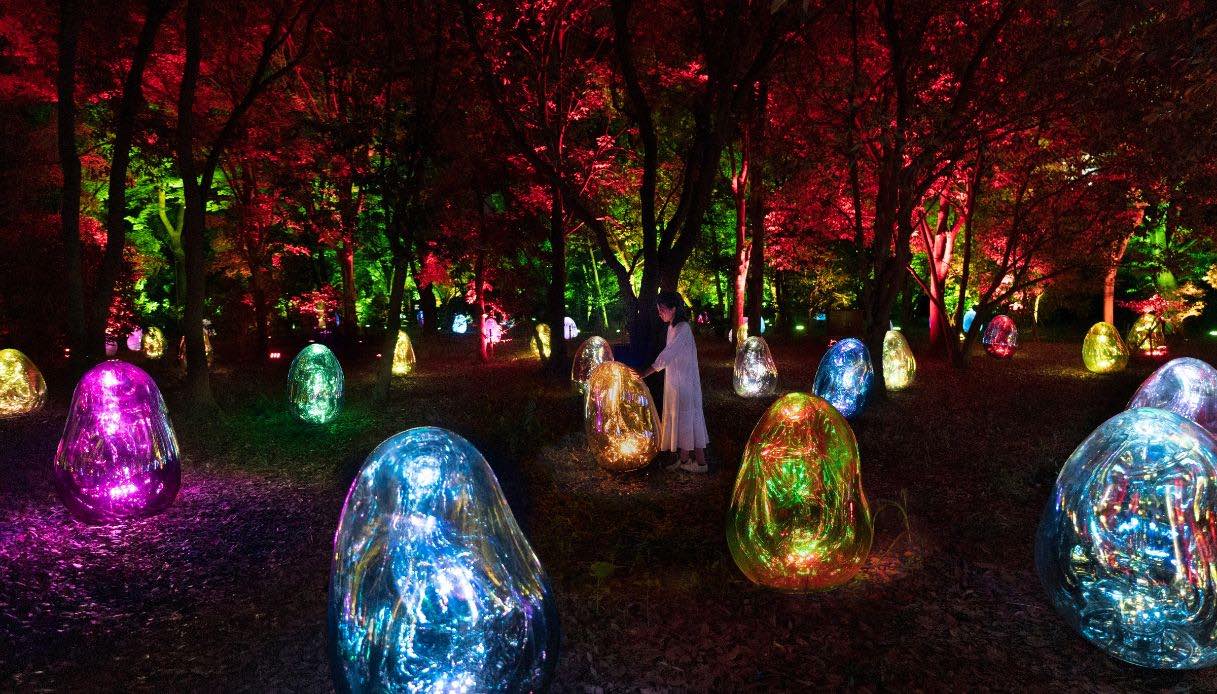 Osaka: il giardino delle meraviglie che si illumina di notte