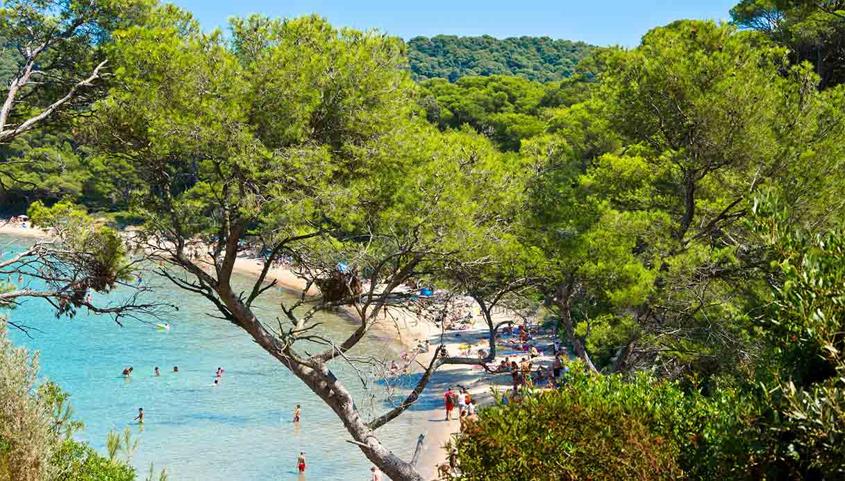 porquerolles-spiaggia