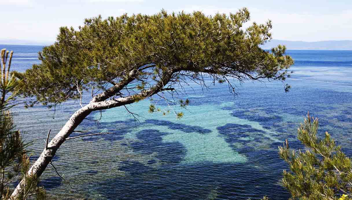 port-cros