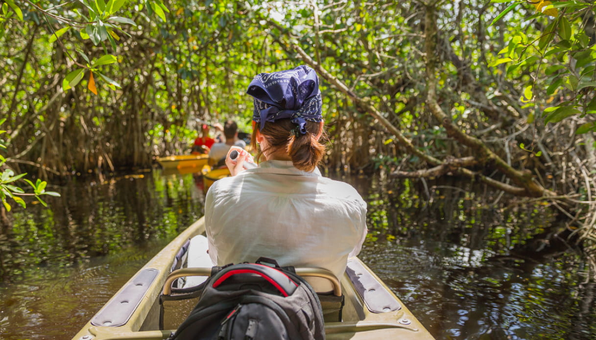 Parco Nazionale delle Everglades, come visitarlo