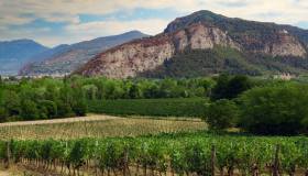 Franciacorta in Fiore, itinerari alla scoperta di un territorio magico