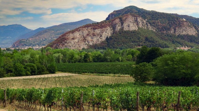 Franciacorta in Fiore, itinerari alla scoperta di un territorio magico