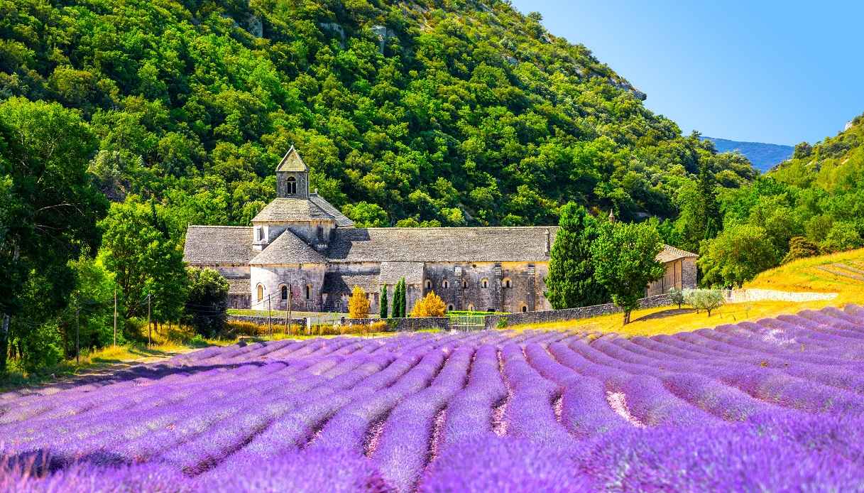 Senanque