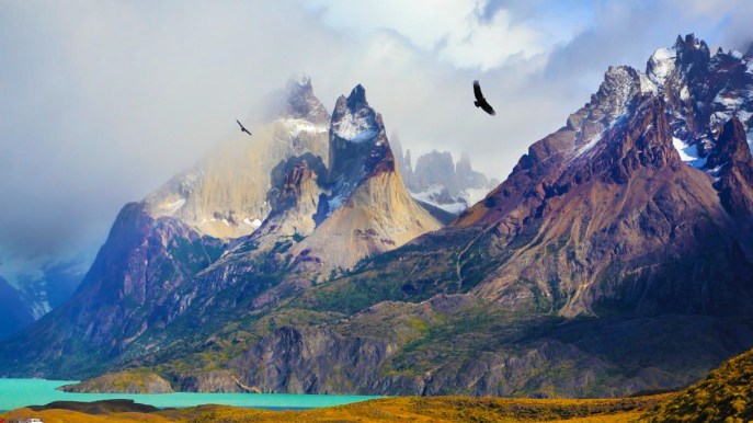 Puoi passeggiare tra torri naturali che sfiorano il cielo