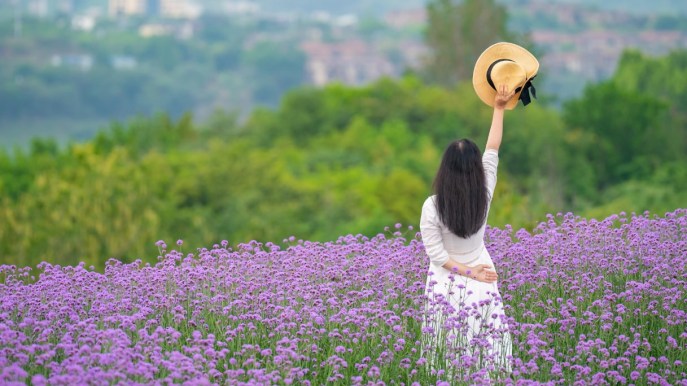 C’è ancora un’altra fioritura da ammirare: sta tingendo il mondo di viola