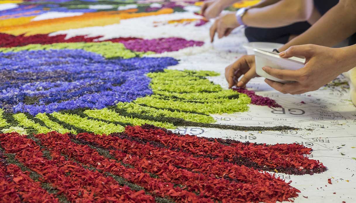 Infiorate artistiche di Spello, la preparazione