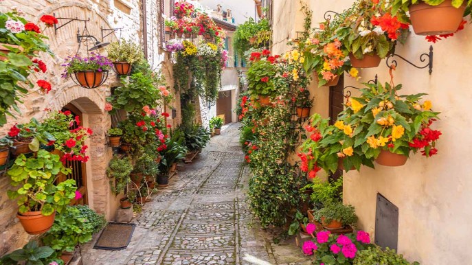 Il borgo dei fiori sta per sbocciare: ecco quando ammirare lo show