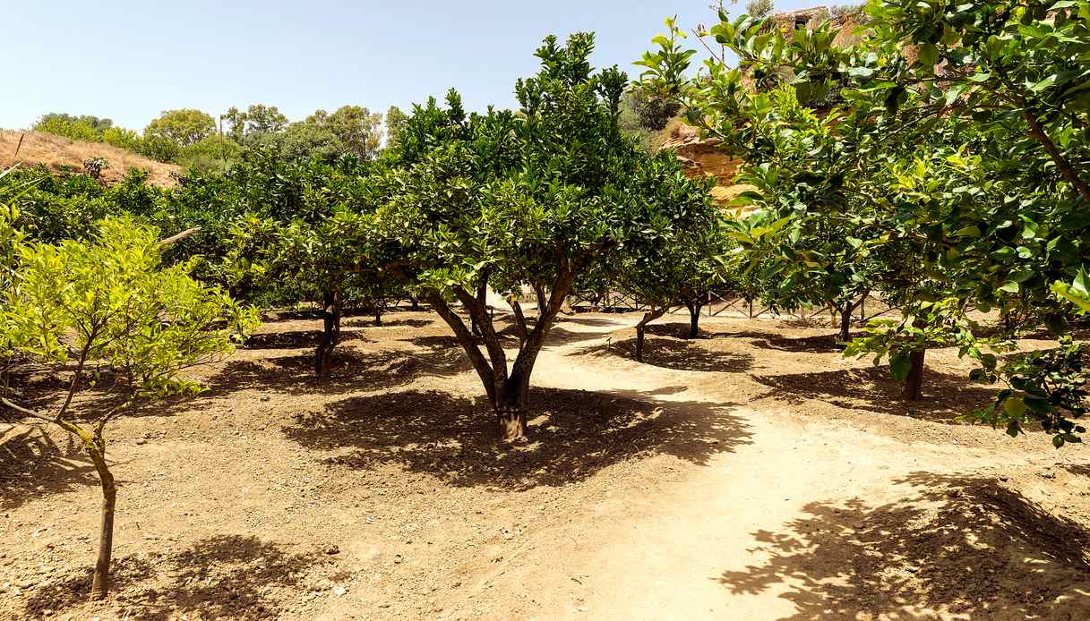 Giardino della Kolymbethra, Bene FAI