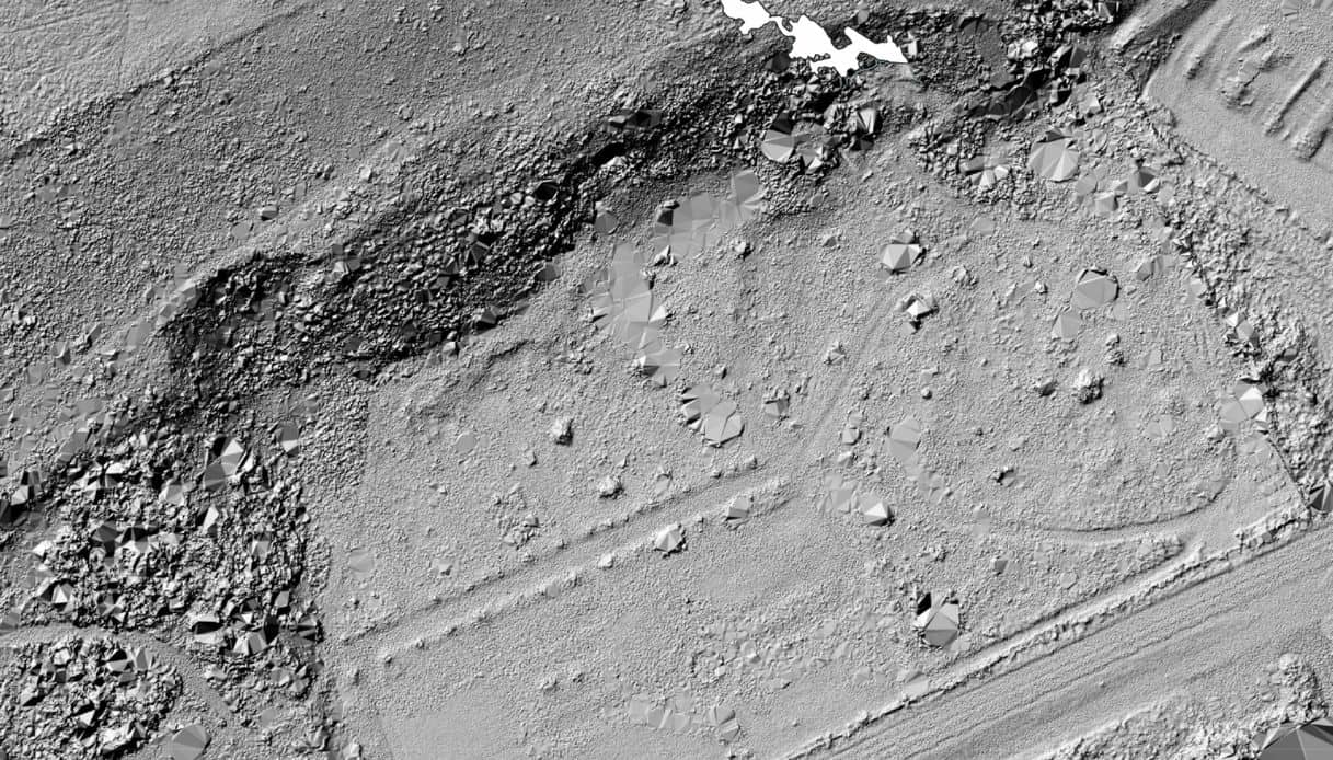 Neanderthal incisioni rupestri