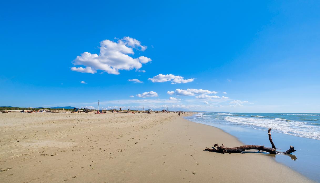 Spiaggia della Lecciona, cosa sapere