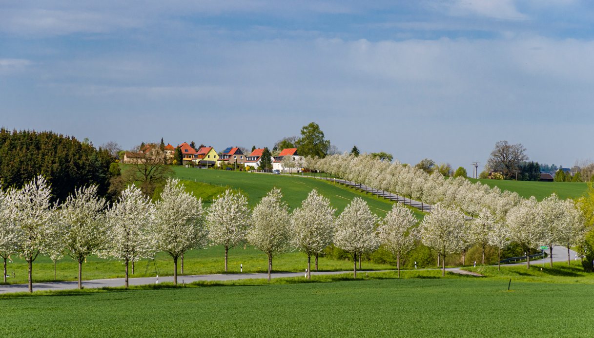 Schmilka Bad Schandau
