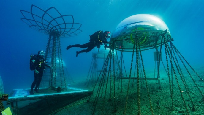 In Italia esiste un giardino delle meraviglie: è un orto sottomarino