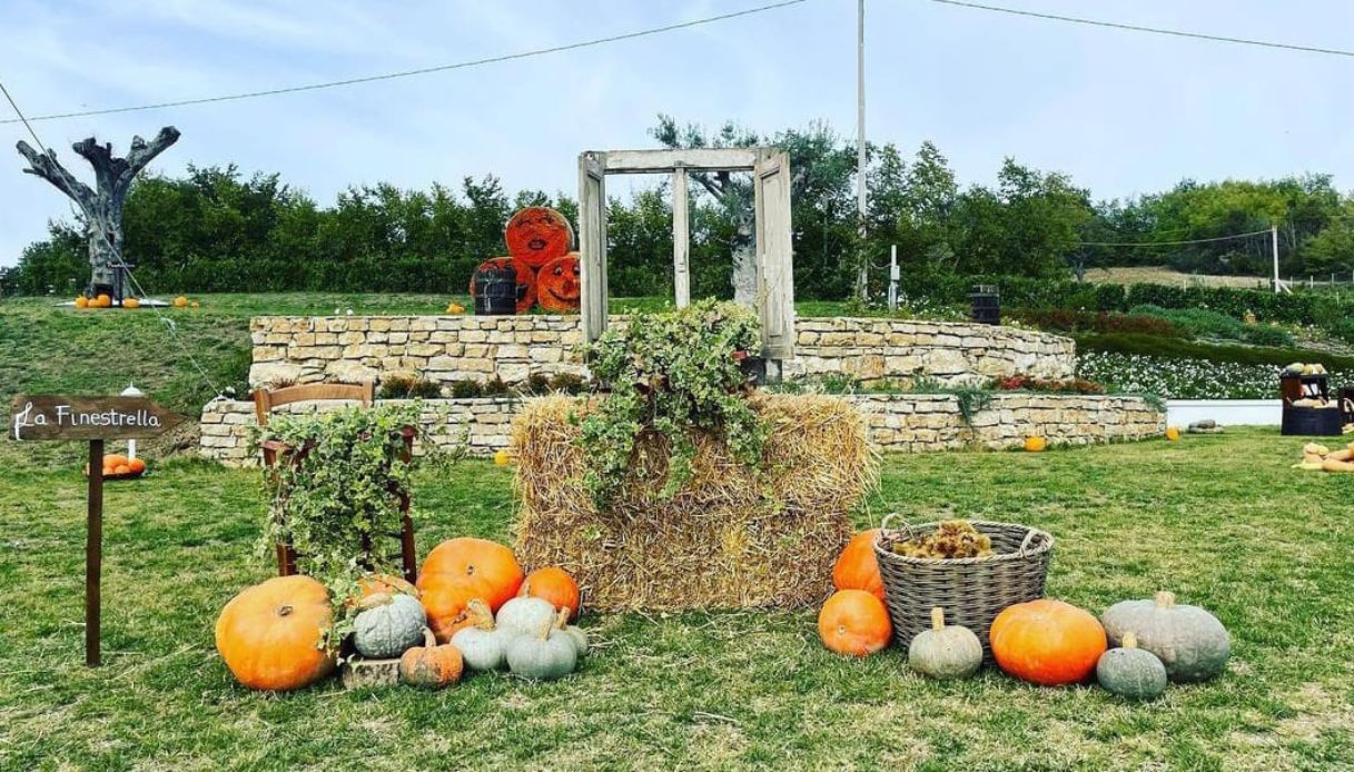 La villa delle zucche, il Pumpkin Patch del Molise