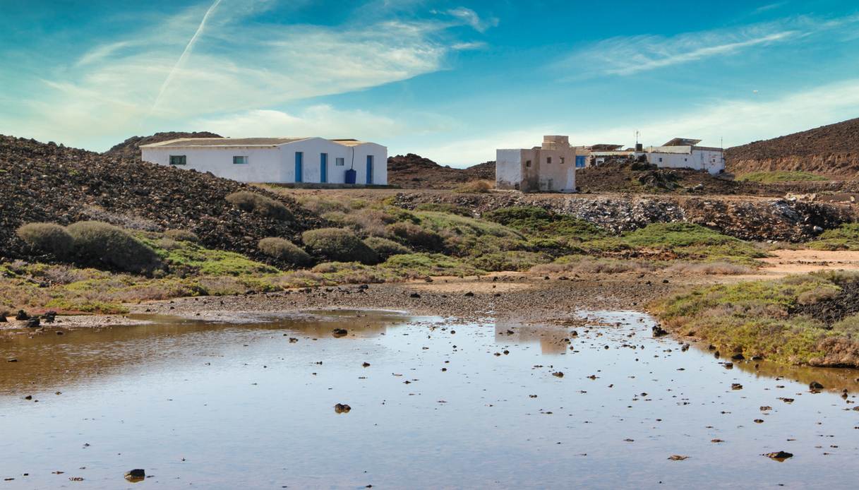 El Puertito, Isola di Lobos