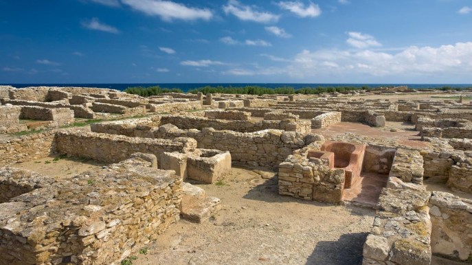 Uno studio ci svela i viaggi dell’Età del Ferro tra Italia e Africa