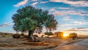 Lungo la Via Francigena Fabaria, il nuovo itinerario da scoprire
