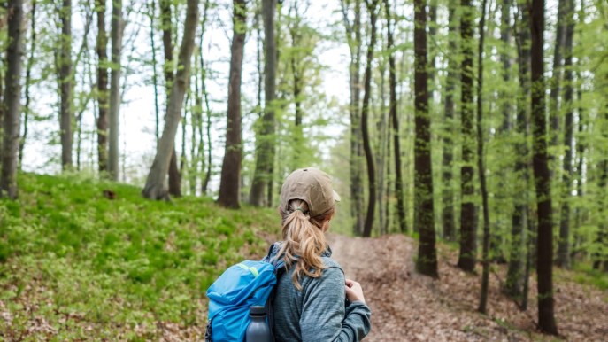 Waldeinsamkeit: il viaggio solitario nella natura
