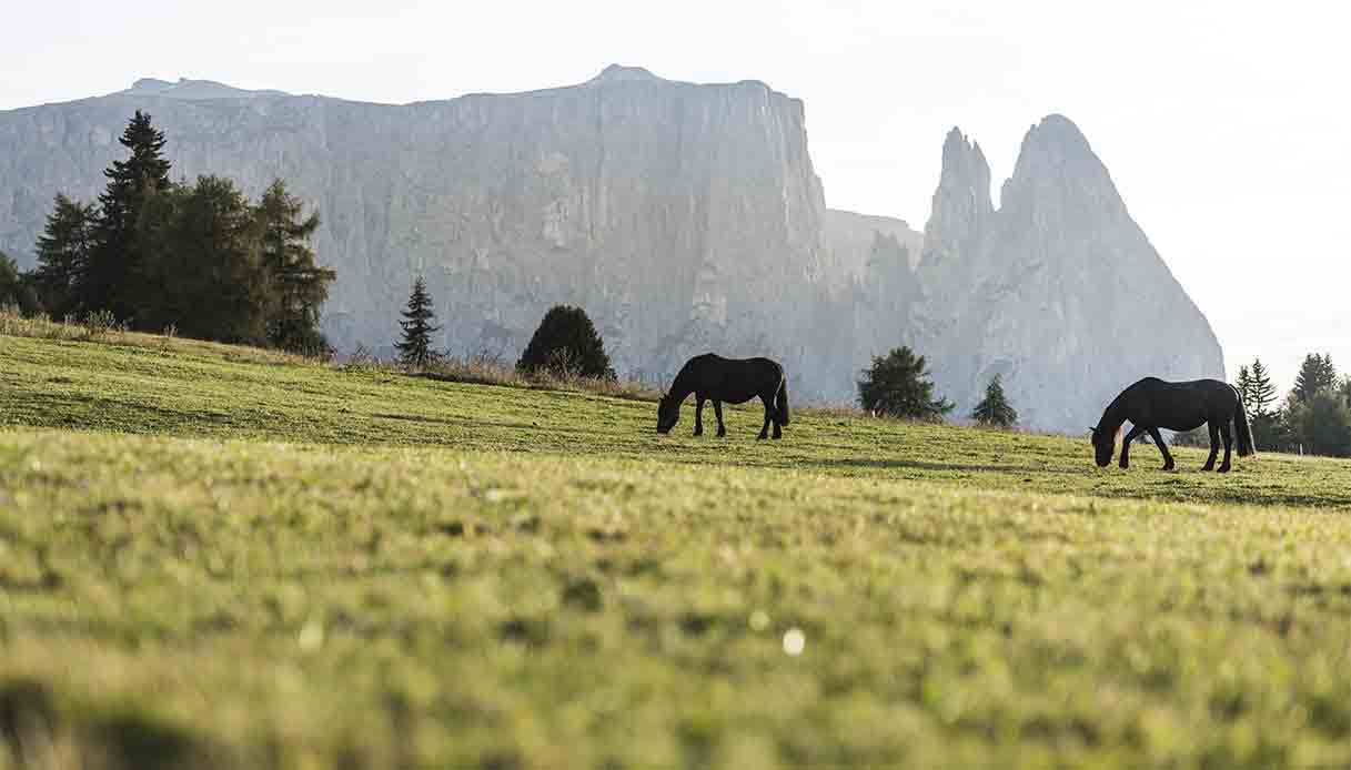 sciliar-dolomiti