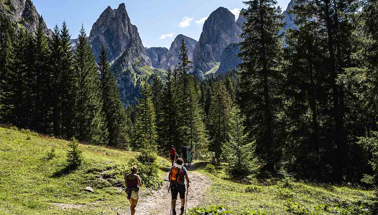 val-ciamin-alpe-siusi