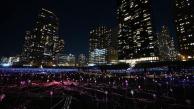 Un mare di luci e colori sta illuminando New York: è magia