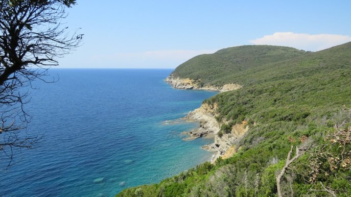 Da Populonia a Cala del Lupo, un trekking di mare lungo il Sentiero dei Cavalleggeri