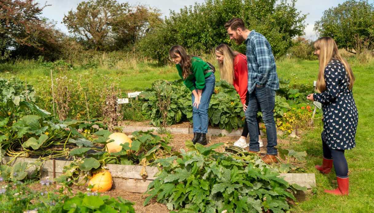 Volontariato in Irlanda in cambio di vitto e alloggio