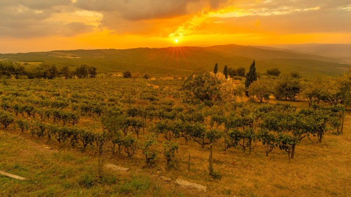 L’autentica ospitalità dell’Albergo Ristorante Poli sulla Via degli Dei