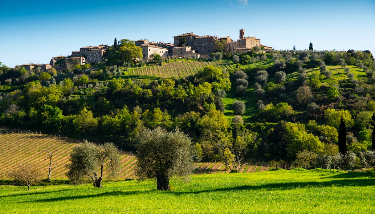 Le colline a Cortona