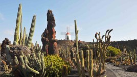 Viaggio a Lanzarote: visitare l’isola tra vulcani, surf e buon vino
