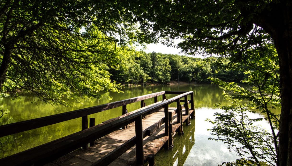 Vista di un lago immerso nella Foresta Umbra nel Gargano, Puglia