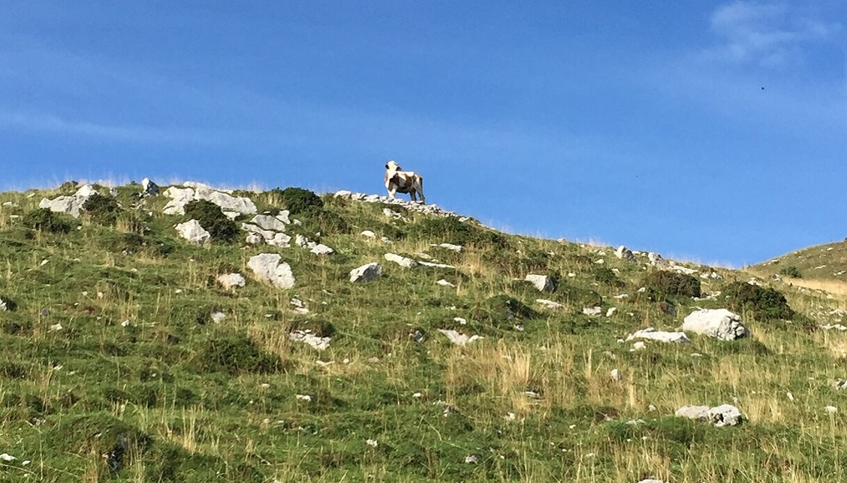 Monte Cuar Friuli Tagliamento