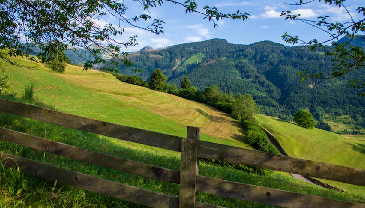 Val di Fiemme, panorama