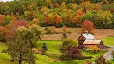 Arriva il foliage, ma in questa famosa città gli influencer non sono ben voluti