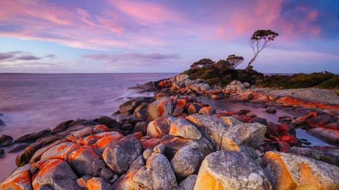 Cosa vedere in Tasmania: le tappe imperdibili