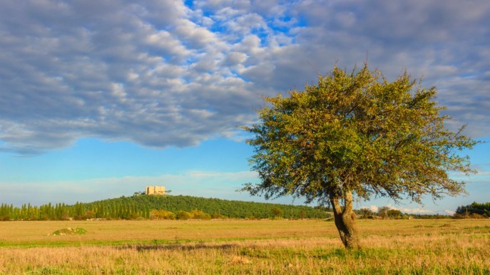 Il Parco dell’Alta Murgia diventa Geoparco Unesco