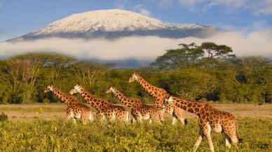 Come ottenere l’eTa, che sostituisce il visto turistico per il Kenya
