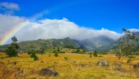 Cosa vedere nello Chiriquí, una delle province più affascinanti di Panama