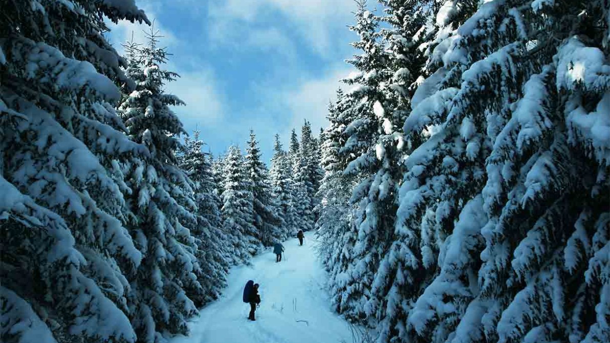 Inverno in montagna