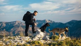 Vacanze in montagna col cane in Italia ed Europa