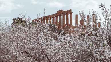 Weekend all’insegna del gusto con le sagre del 15 e 16 marzo 2025