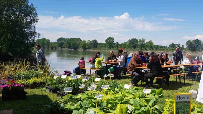 Aria di primavera, le sagre dell’ultimo weekend di marzo in tutta Italia
