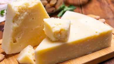 Roma Capitale diventa Città del Formaggio: un omaggio all’eccellenza casearia italiana