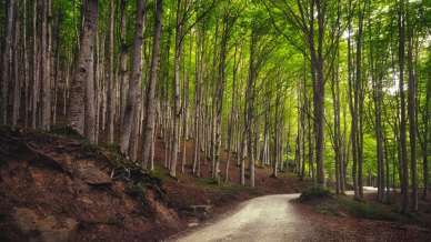 Toscana: trekking a Capo d’Arno e al Lago degli Idoli