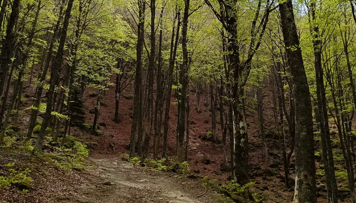 Escursione a Capo d'Arno e Lago degli Idoli