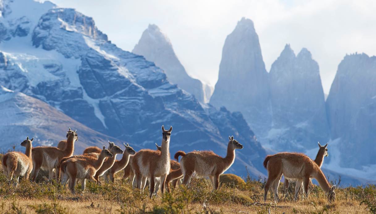 Torres del Paine