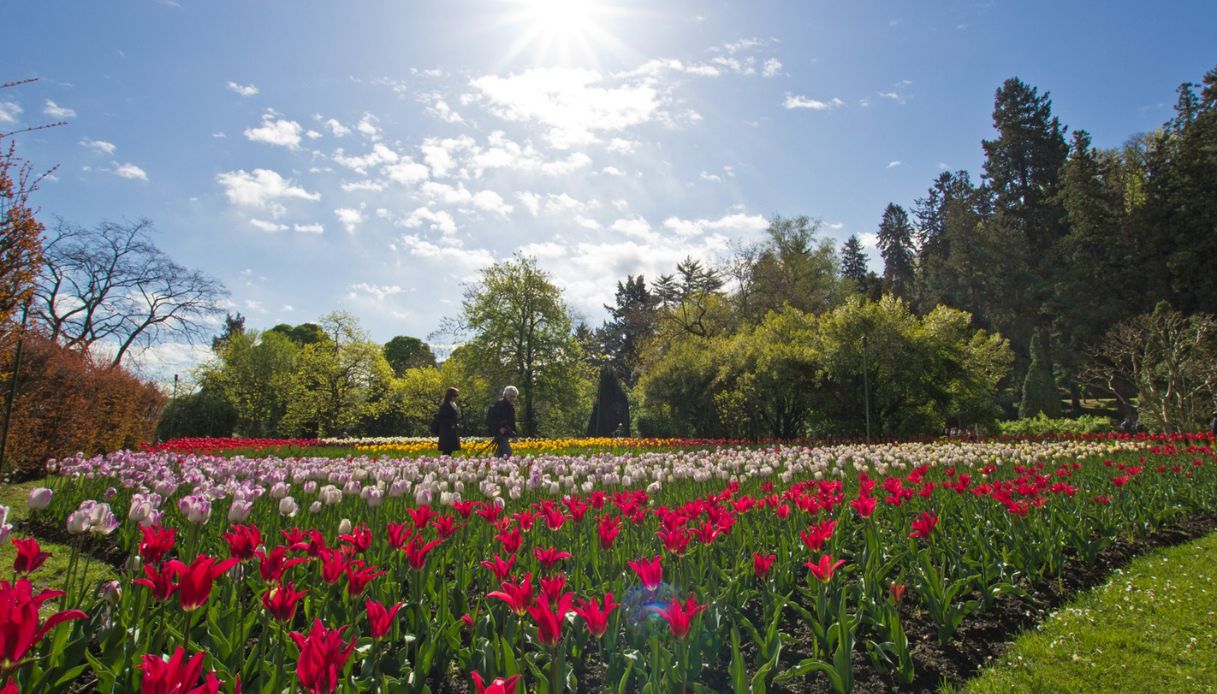 Spettacolare giardino di Villa Taranto, Verbania